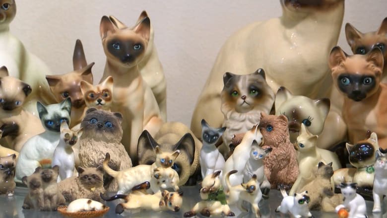 زوجان يملآن منزلهما بالآلاف من تماثيل القطط.. ما السبب؟