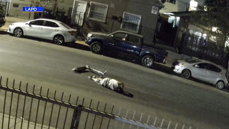 نجا بعد سقوطه فاقدا الوعي.. مشهد يفطر القلب لشاحنة تدهس رجلا وتجره على طول الطريق