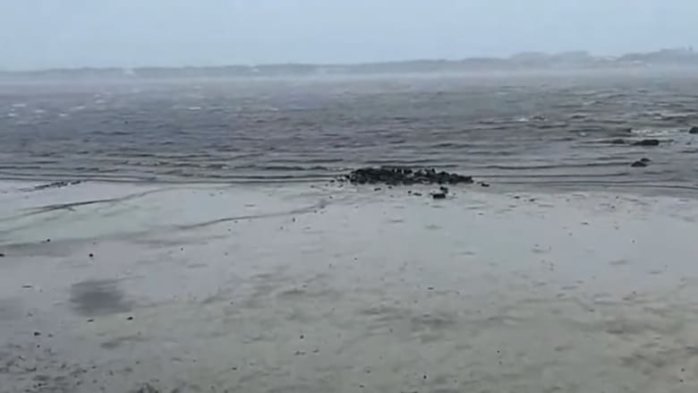 عالم أرصاد CNN: لم أشاهد هذا من قبل.. انحسار المياه بشكل مخيف عن سواحل فلوريدا قبيل وصول عاصفة إيان