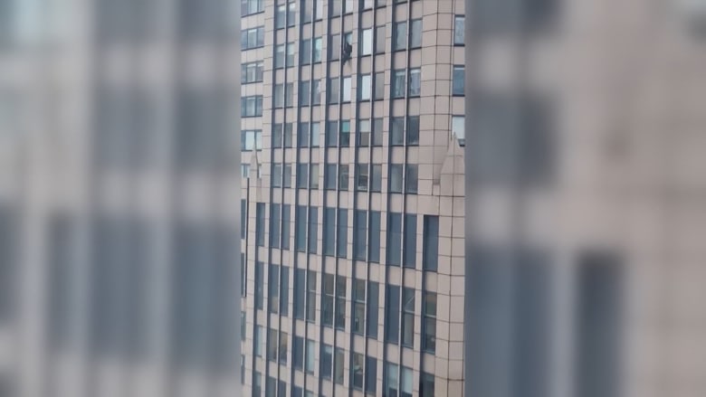 تسلل خارج المبنى ودفعه للداخل.. كاميرا ترصد شرطيًا ينقذ رجلًا حاول القفز من الطابق 31