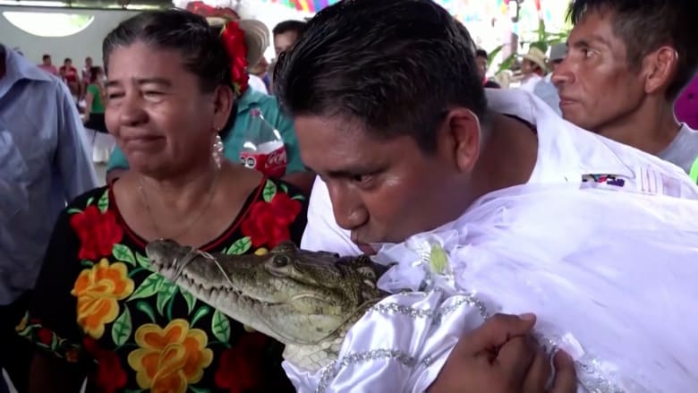 تزوج أنثى تمساح.. عمدة مكسيكي يعيد إحياء طقوس "مقدسة" تعود إلى ما قبل القرن الـ16