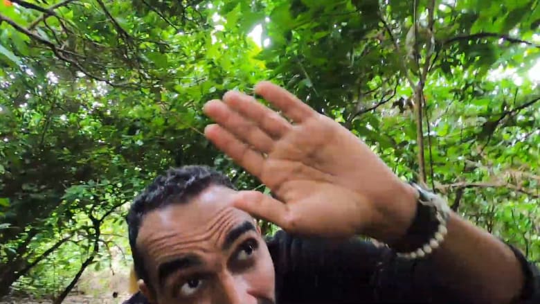 الخفافيش من كل مكان.. مشاهد يصورها مصري داخل هذه الجزيرة