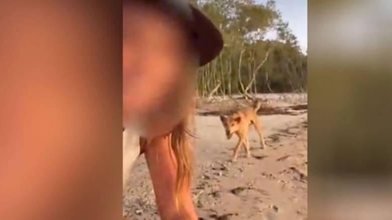 تغريم سائحتان في أستراليا لالتقاطهما صور "سيلفي" مع حيوان خطير