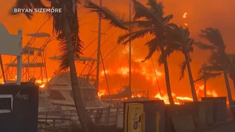جثث منتشرة ومنازل اختفت تمامًا.. مشاهد مرعبة لحرائق هائلة تجتاح هاواي