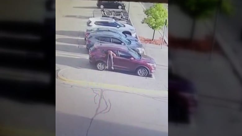 كاميرا ترصد سرقة سيارة امرأة في وضح النهار.. شاهد ما كان بداخلها