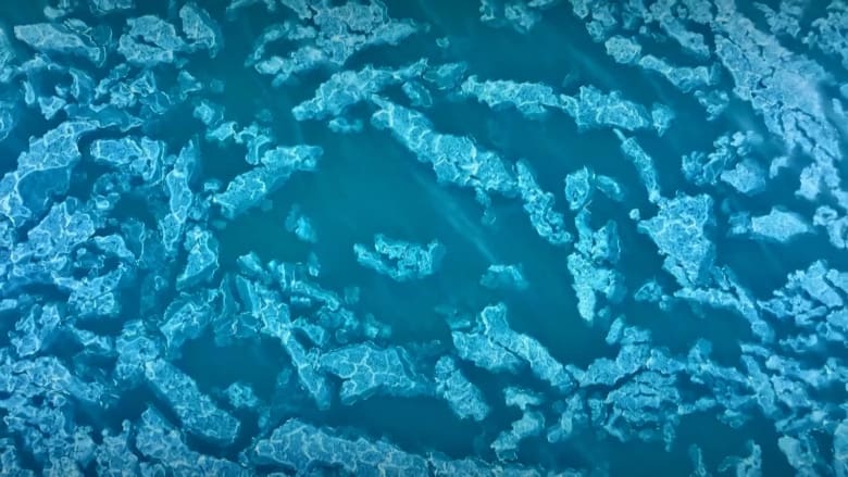 بدا كلوحة فنية.. شاهد كيف شكّل الطقس القاسي الجليد في لقطات مذهلة بأمريكا