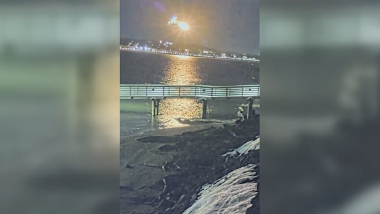 فيديو حصري من زاوية جديدة يوثق لحظة تصادم الطائرتين في واشنطن