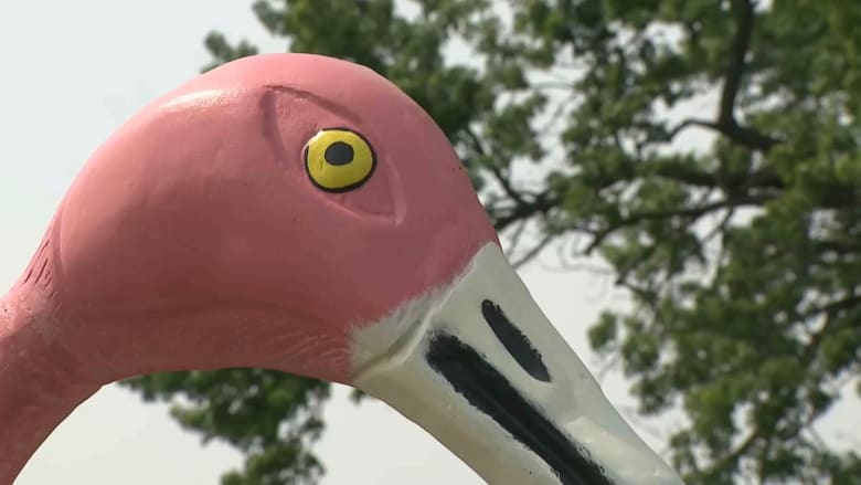 سرقة غير عادية.. مجهول ينتزع تمثال طائر "الفلامنغو" في أمريكا ويختفي