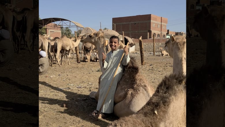 أسوان كما لم ترها من قبل..مصري يرصد تجربة تراثية فريدة في سوق الإبل