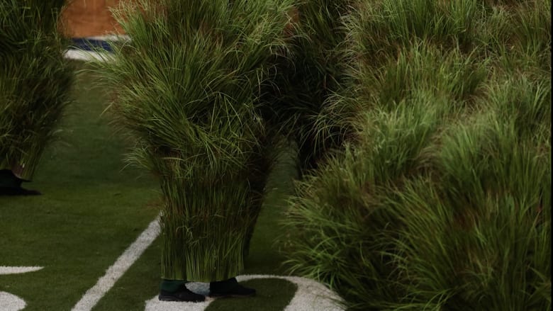 كواليس طريفة.. كيف كان شعور المرء بهيئة "شجيرة" في عرض "سوبر بول"؟