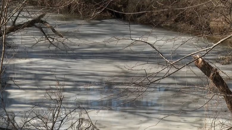 لم يدركا أنه هش.. صبيان يغرقان بعد سقوطهما في جدول مائي مغطى بالجليد