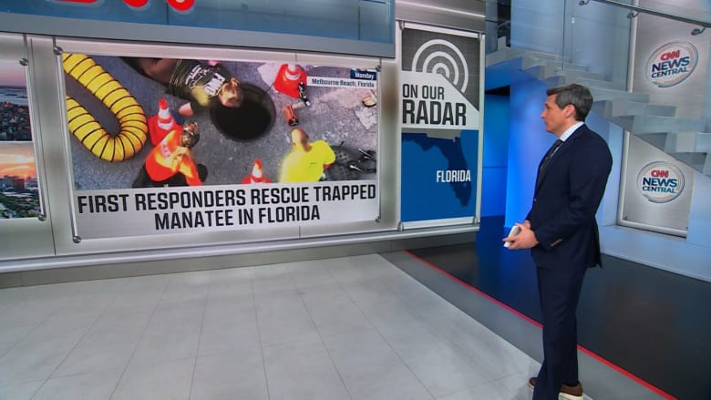 شاهد.. إنقاذ خروف بحر عالق داخل بالوعة برافعة في فلوريدا