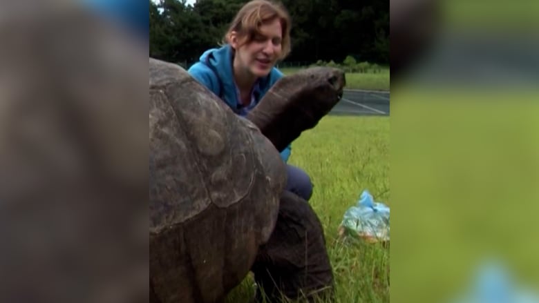 كيف وقعت أكثر سلحفاة معمرة في العالم ضحية لعملية احتيال بالعملات الرقمية؟