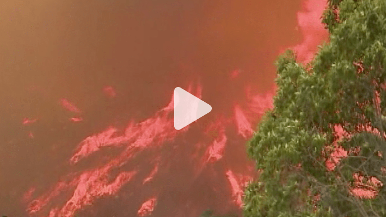 إخلاء محطة نووية و20 ألف شخص بسبب حرائق الغابات بكاليفورنيا إخلاء محطة نووية و20 ألف شخص بسبب حرائق الغابات بكاليفورنيا