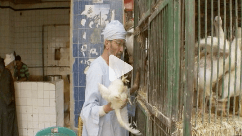 العلاج المر للاقتصاد ..هل يبتلعه المصريون من يد الرئيس المقبل ؟ العلاج المر للاقتصاد ..هل يبتلعه المصريون من يد الرئيس المقبل ؟