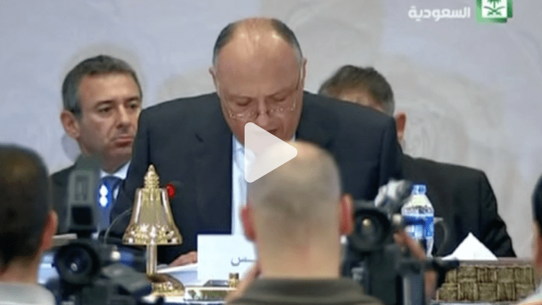 شكري: مصر ترتب للمشاركة في "عاصفة الحزم" جواً وبحراً وبراً شكري: مصر ترتب للمشاركة في "عاصفة الحزم" جواً وبحراً وبراً