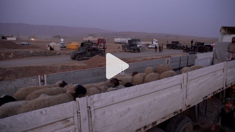 نازحون من الموصل: يكفي النوم دون خوف من الموت نازحون من الموصل: يكفي النوم دون خوف من الموت