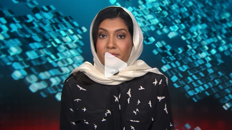 أميرة سعودية: أود أن أرى تغييرات في نظام الولاية أميرة سعودية: أود أن أرى تغييرات في نظام الولاية