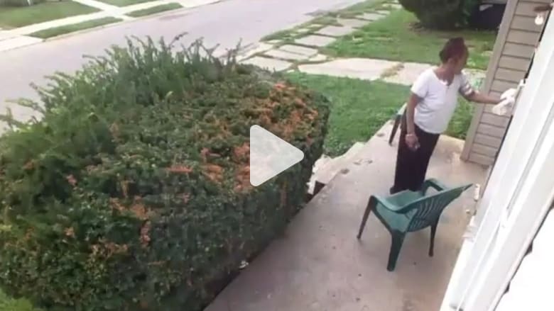 تبرّز كلب بساحة منزلها.. فكيف كان انتقام سيدة البيت؟ تبرّز كلب بساحة منزلها.. فكيف كان انتقام سيدة البيت؟