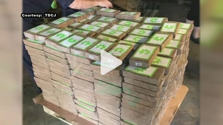 شحنة موز.. أحدث حيلة لتهريب كوكايين بـ18 مليون دولار شحنة موز.. أحدث حيلة لتهريب كوكايين بـ18 مليون دولار