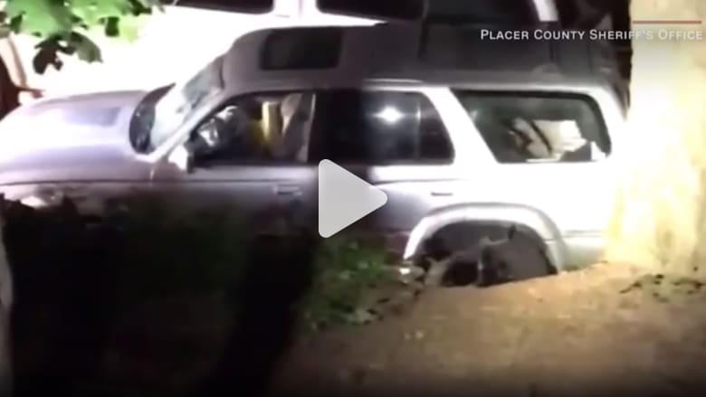 كاميرا مراقبة ترصد ما فعله دب ضخم علق في سيارة مغلقة كاميرا مراقبة ترصد ما فعله دب ضخم علق في سيارة مغلقة