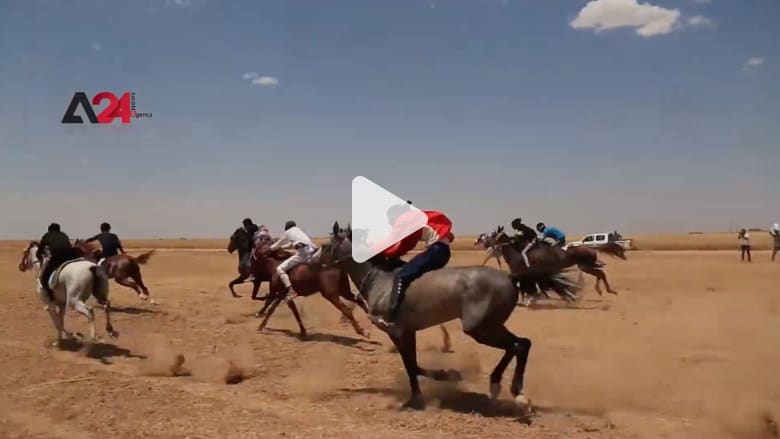 مهرجان الخيول العربية الأصيلة ينطلق في مدينة تل حميس السورية مهرجان الخيول العربية الأصيلة ينطلق في مدينة تل حميس السورية