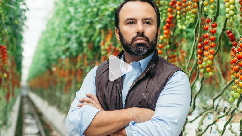 لتعزيز الإنتاج الغذائي المحلي.. كيف يتم زراعة الطماطم في صحراء الإمارات؟ لتعزيز الإنتاج الغذائي المحلي.. كيف يتم زراعة الطماطم في صحراء الإمارات؟