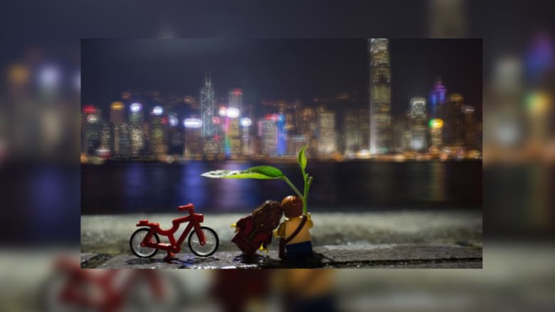 قام المصمم ريكس تسي بعمل تشكيلات من الليغو تظهر أبرز معالم هونغ كونغ، لتعكس قطع من البلاستيك حياة الناس ونبض الشارع في المدينة
