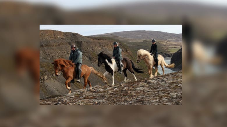 أجمل مواقع رحلات الخيول في العالم