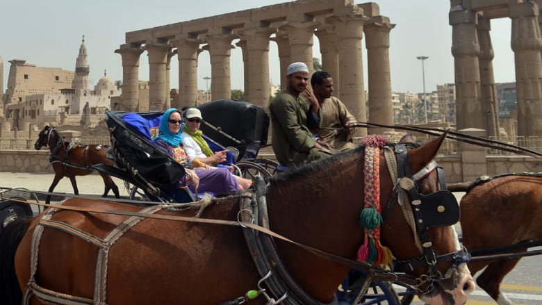 "الحنطور" في مصر سياحة وأشياء أخرى