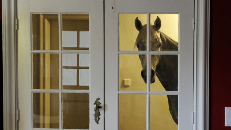 ناصر.. حصان عربي لا يعيش إلا داخل المنزل ويتكهن بمباريات كأس العالم