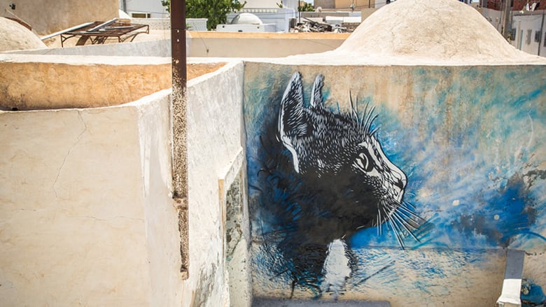 منازل جربة جزيرة الأحلام بتونس تتحول إلى أكبر معرض فني مفتوح 