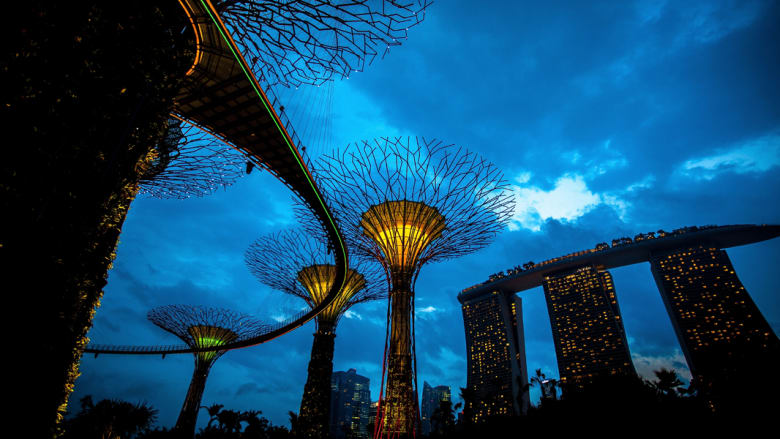 أبراج Supertrees في سنغافورة