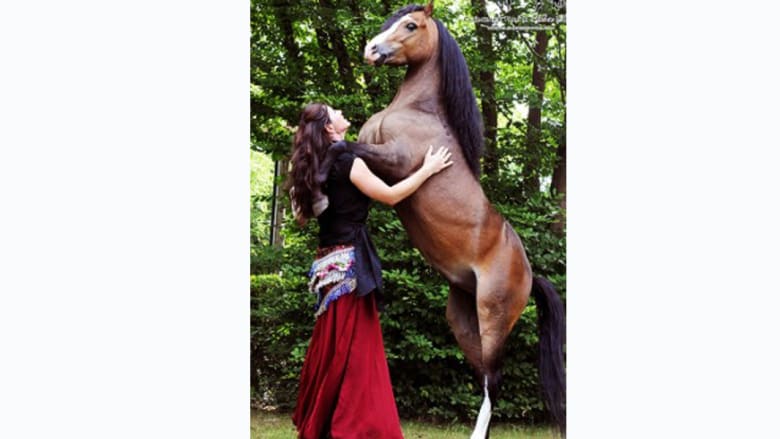 الخيول الراقصة تجلب مع صاحبتها جمهوراً جديداً لعالم الفروسية