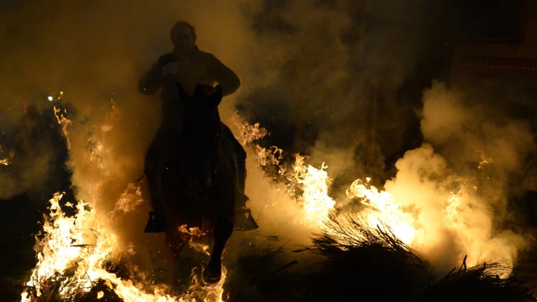 بالصور..هكذا تعانق الخيول النيران الملتهبة في اسبانيا