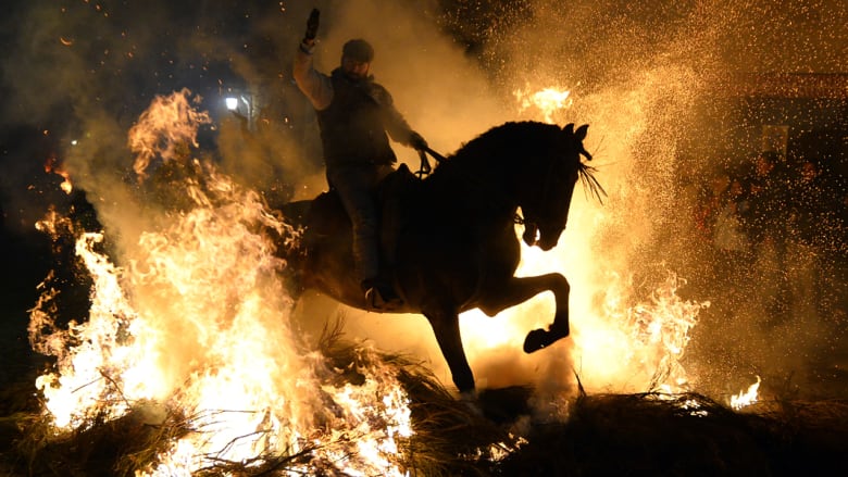 بالصور..هكذا تعانق الخيول النيران الملتهبة في اسبانيا