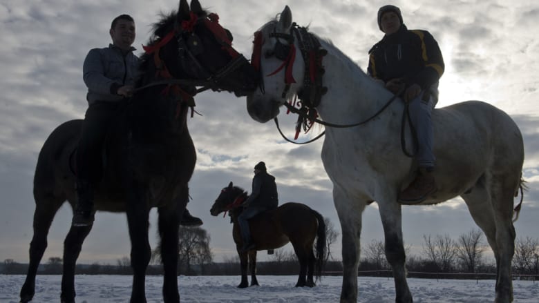 كيف تُعمد الخيول بعيد الغطاس في رومانيا؟