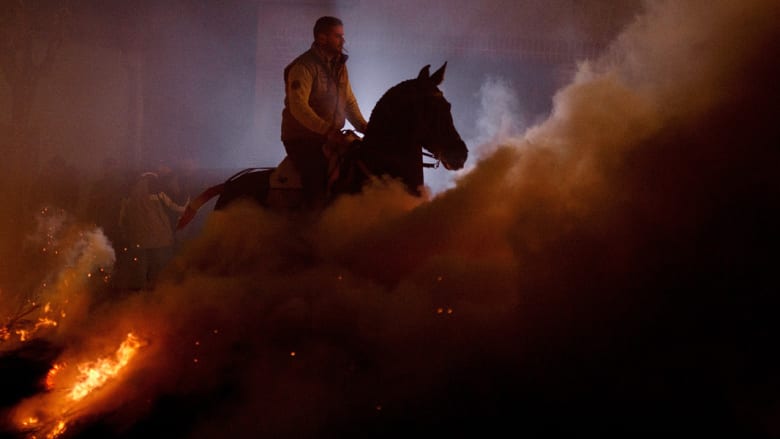 الخيول في "محرقة" اسبانية..لطرد الأرواح الشريرة