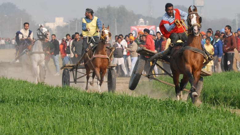 للفروسية معنى آخر في الهند..امتطاء حصانين بطولة بحد ذاتها 