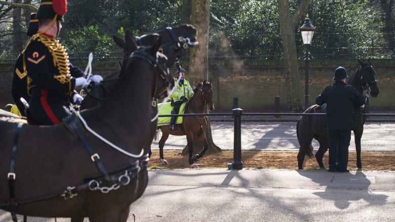 حصان يلوذ بالفرار في شوارع لندن.. ولكن ما السبب؟