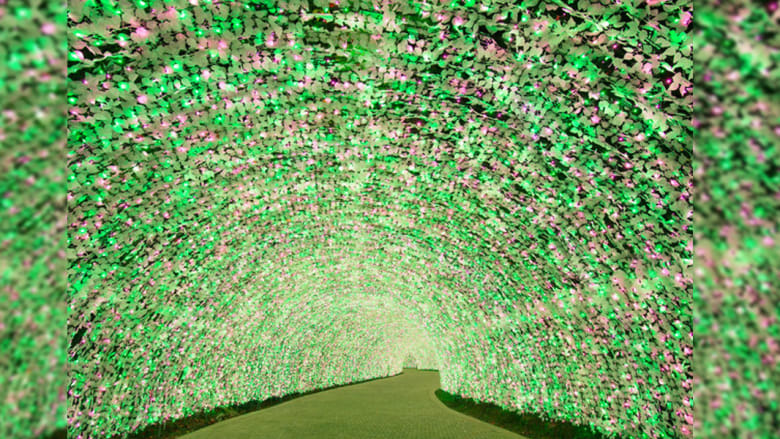اليابان: الزهور تتألق بأكبر معرض للضوء