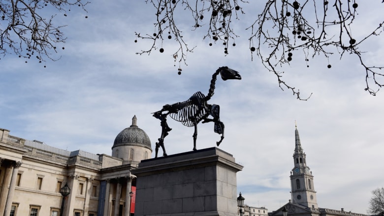 بالصور..حصان في لندن يعرف بيانات السوق مباشرة من البورصة