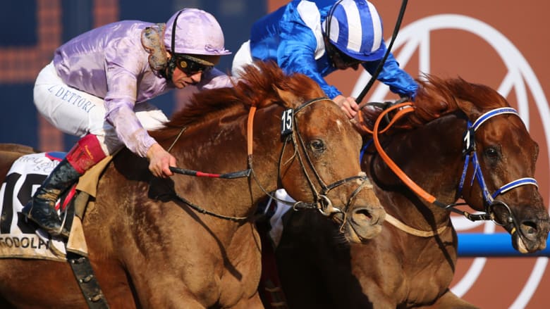 بالصور..أغلى سباقات الخيول تخطف أبصار العالم في دبي - CNN Arabic