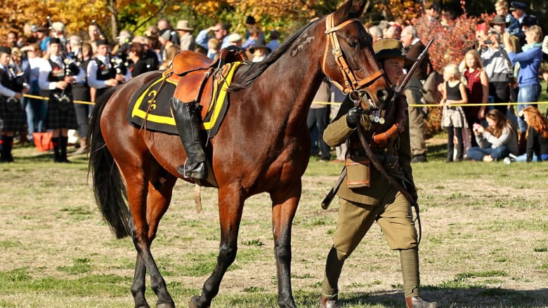 بالصور..نيوزيلندا تحيي الذكرى المائة للحرب العالمية الأولى بمائة حصان وفارس