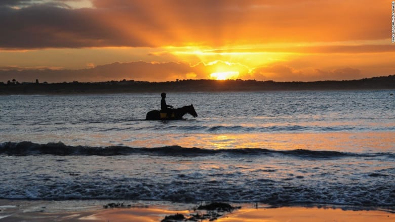 حصان يمشي في خليج باستراليا