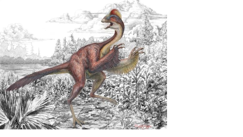 ديناصور له ريش ولقب بـ"دجاجة الجحيم" وزنه أكثر من 600 باوند