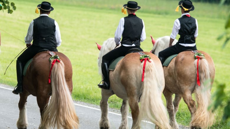 بالصور..وللفقراء حقهم أيضاً من الخيول في ألمانيا