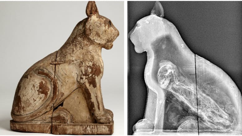 هل كشفت هذه المومياوات المصرية إحدى أقدم عمليات الاحتيال عبر التاريخ؟