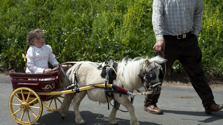 بالصور.."كارافان" وعربات تقليدية لجر الخيول في معرض أبليبي البريطاني