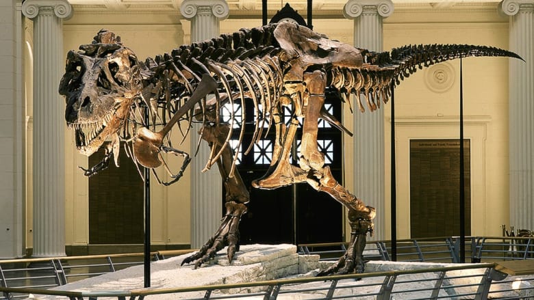 بالصور.. أشهر متاحف الديناصورات حول العالم